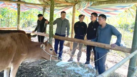 Đích đến là giảm nghèo bền vững