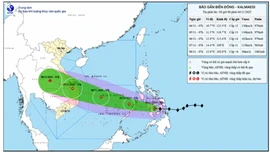 Thủ tướng yêu cầu ứng phó bão Kalmaegi giật cấp 17 với tinh thần quyết liệt nhất
