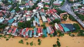 Bão số 10 khiến 194 người thương vong và mất tích, gây thiệt hại 8.780 tỷ đồng