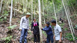 Giải ngân vốn Chương trình mục tiêu quốc gia tại Bảo Hà đạt 30,51% kế hoạch