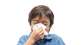 Virus H3N2 đột biến có thể làm bùng phát dịch cúm tại châu Á