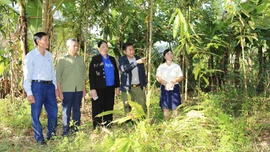 Phường Lào Cai đẩy mạnh tuyên truyền đưa nghị quyết của Đảng đi vào cuộc sống