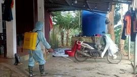 Một người tử vong nghi do bệnh dại ở phường Cam Đường