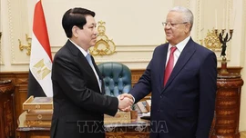 Chủ tịch nước Lương Cường hội kiến Chủ tịch Hạ viện Ai Cập