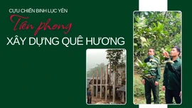 Cựu Chiến binh Lục Yên: Tiên phong xây dựng quê hương