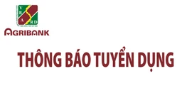 Thông báo tuyển dụng