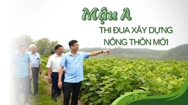 Mậu A thi đua xây dựng nông thôn mới