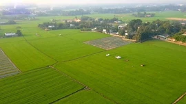 Hoàn thiện cơ sở dữ liệu đất đai vào năm 2026, chấm dứt thời kỳ quản lý trên giấy