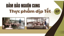 Đảm bảo nguồn cung thực phẩm dịp Tết