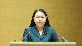 Quy trình hiệp thương lựa chọn, giới thiệu người ứng cử đại biểu Quốc hội, đại biểu HĐND các cấp và việc tổ chức các hội nghị lấy ý kiến cử tri