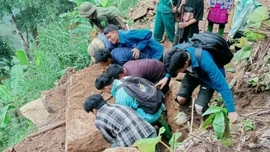 Vực dậy sau tàn khốc