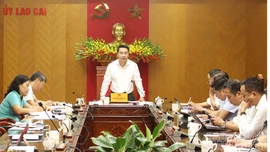 Cần đẩy mạnh tăng thu nội địa, nhất là từ thuế và phí, phấn đấu vượt kế hoạch đề ra