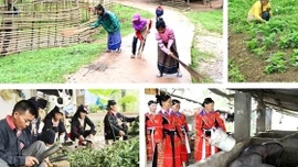 Kế hoạch triển khai Chương trình mục tiêu quốc gia xây dựng nông thôn mới vùng dân tộc miền núi