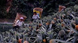 Bản Lầu chuyển mình mạnh mẽ trong công tác giảm nghèo