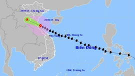Đường đi của bão số 10 (Bualoi).
