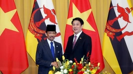 Chủ tịch nước Lương Cường hội đàm với Quốc vương Brunei