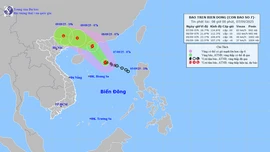 Lào Cai nằm trong 6 tỉnh, thành dự báo có mưa lớn do hoàn lưu trực tiếp của bão số 7