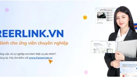 Cách tìm hiểu phúc lợi công ty để chọn đúng nơi làm việc lý tưởng