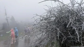 Miền Bắc chuẩn bị bước vào cao điểm rét đậm, rét hại, mùa đông năm nay khắc nghiệt