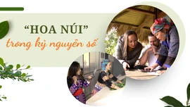  “Hoa núi” trong kỷ nguyên số