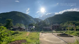 Sức sống mới Khuôn Bổ