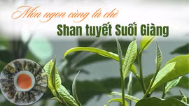 Món ngon cùng lá chè Shan tuyết Suối Giàng 