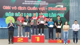 Trao 17 bộ giải tại Giải vô địch quần vợt - pickleball các câu lạc bộ tỉnh năm 2024