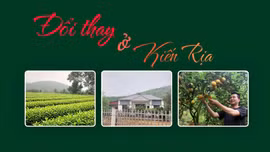 Đổi thay ở Kiến Rịa 