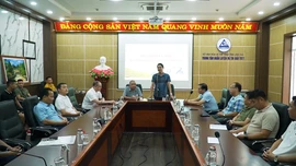 Họp chuyên môn Giải vô địch Wushu trẻ quốc gia năm 2025