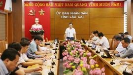 Tập trung triển khai công tác sắp xếp đơn vị hành chính cấp tỉnh, cấp xã
