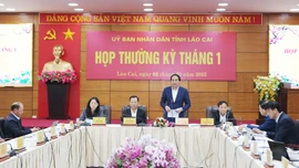 UBND tỉnh họp phiên thường kỳ tháng 1