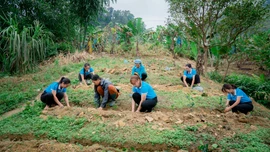 Nâng cao quyền năng kinh tế cho phụ nữ