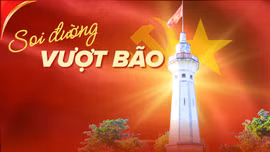 Soi đường vượt bão