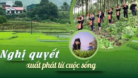 Nghị quyết xuất phát từ cuộc sống 