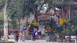 Bảo Hà đón khoảng 300.000 lượt khách dịp Tết Nguyên đán Bính Ngọ 2026