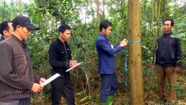 Phường Âu Lâu quan tâm bố trí tái định cư cho người dân