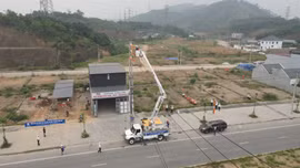 Công ty Điện lực Lào Cai nâng cao hiệu quả ứng phó thiên tai