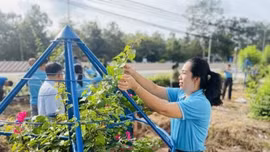 Xây dựng nếp sống văn hóa - văn minh: Những việc làm thiết thực