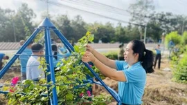 Xây dựng nếp sống văn hóa - văn minh: Những việc làm thiết thực