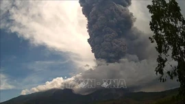 Indonesia cảnh báo mức cao nhất do núi lửa Lewotobi Laki-Laki phun trào