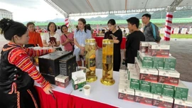 Thúc đẩy chuyển đổi số và thương mại điện tử vùng Trung du và miền núi phía Bắc