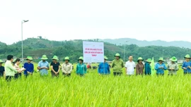 Văn Bàn nỗ lực giảm nghèo