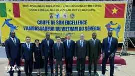 Giải Vovinam Cúp Đại sứ Việt Nam 2025: Lan tỏa Vovinam tại châu Phi