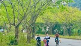 Xu hướng du lịch gia đình của khách Việt Nam