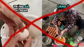 Bác thông tin trứng gà giả trên mạng xã hội