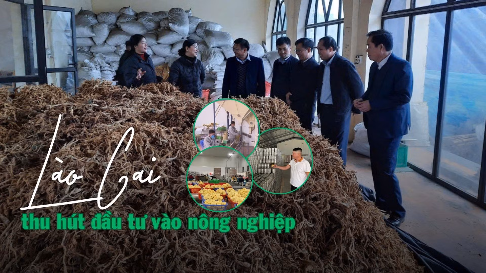 Lào Cai thu hút đầu tư vào nông nghiệp