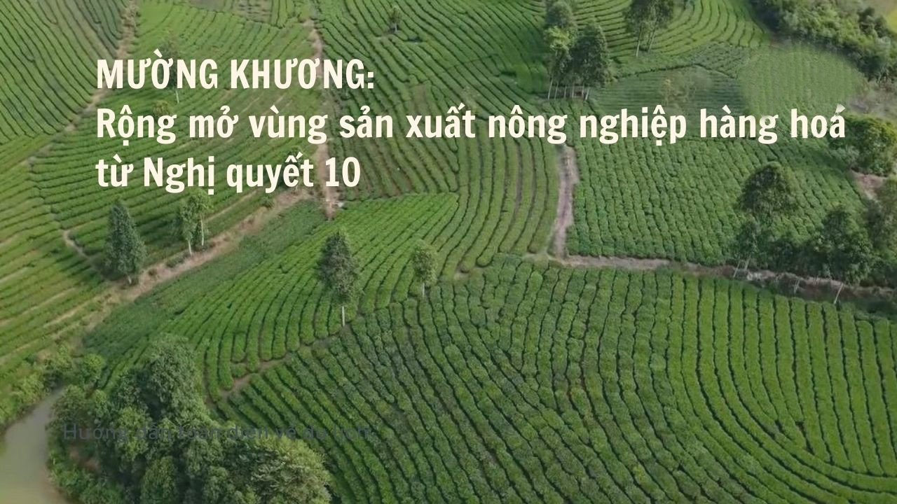 Rộng mở vùng sản xuất nông nghiệp hàng hóa từ Nghị quyết 10