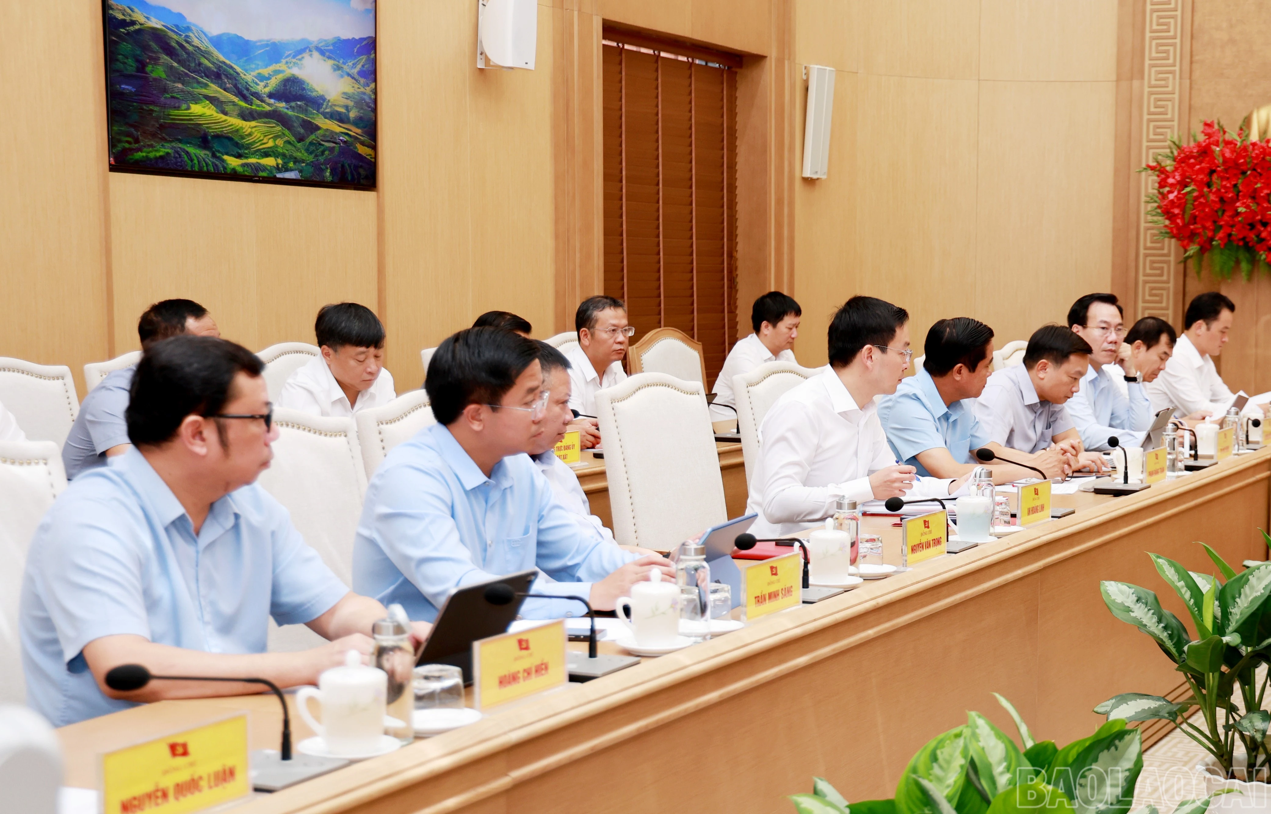 baolaocai-br_060a8778.jpg
