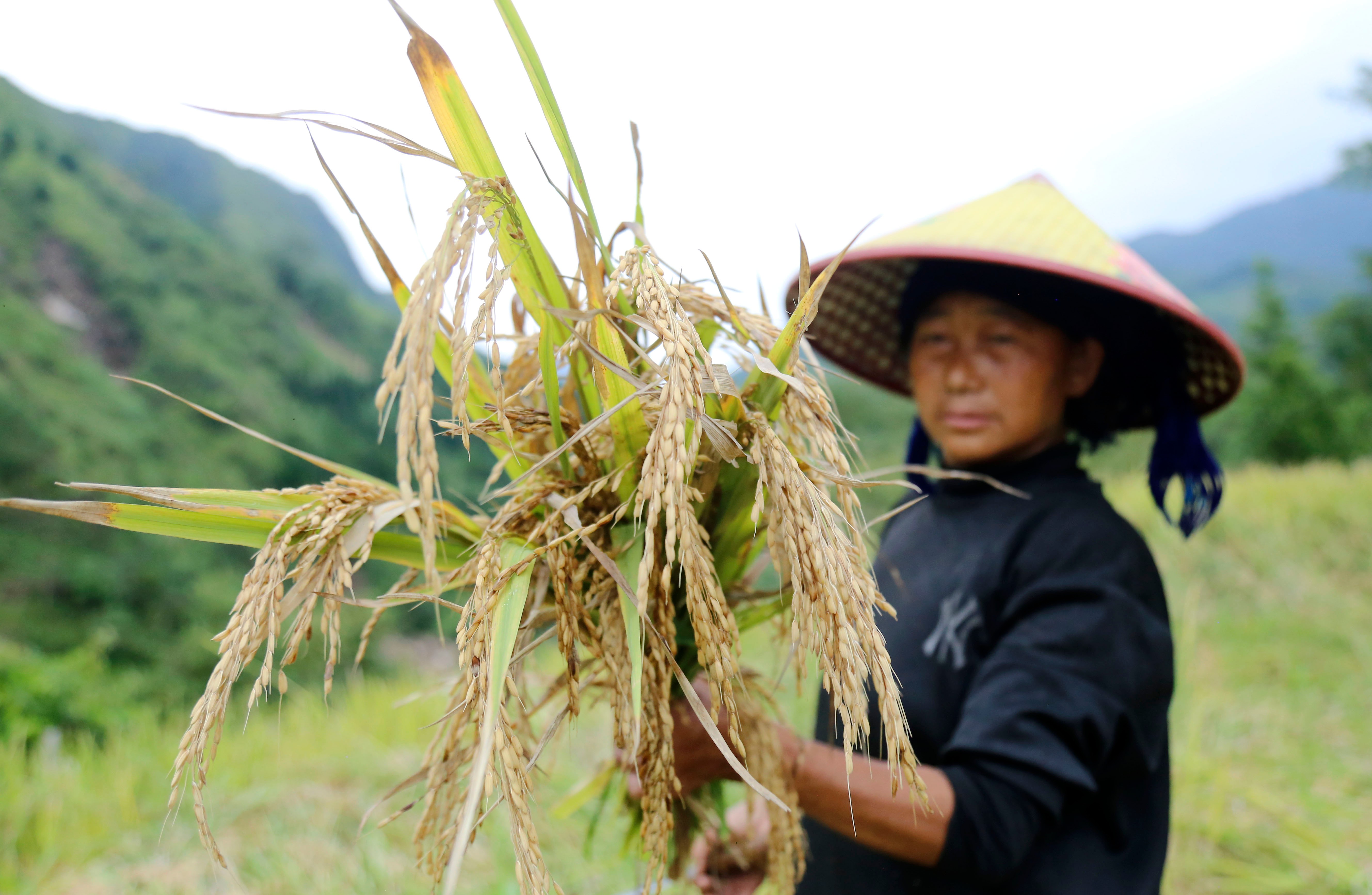 Nậm Pung - Nơi con lũ đi qua 