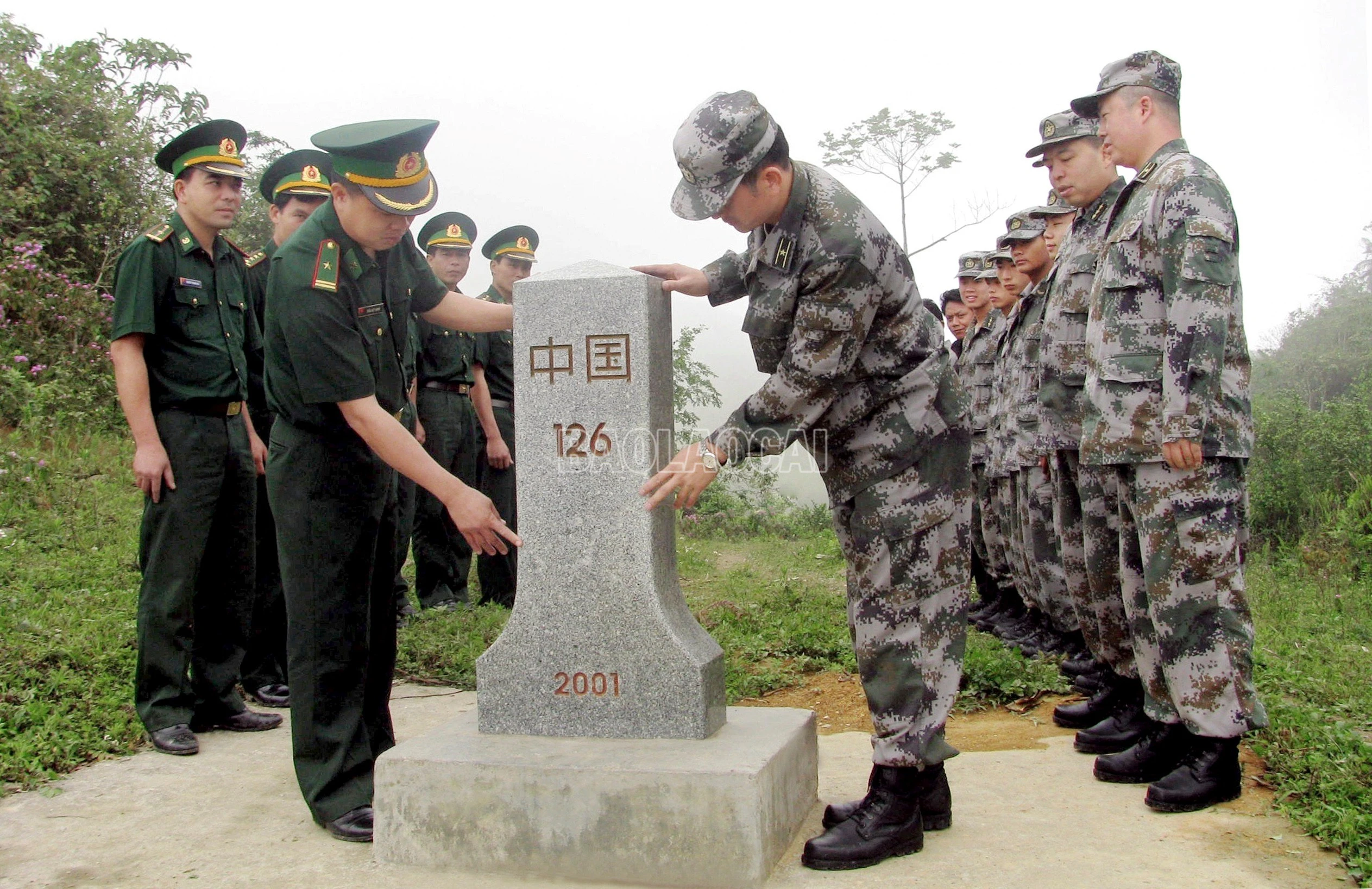 baolaocai-c_z4642858880723-bad66f2c3fdde7361de6b8179c75ea20.jpg